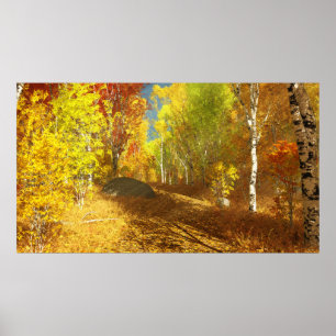 Affiche Effondrement de l'impression lumineuse