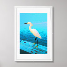 Egret neigeux en bleu