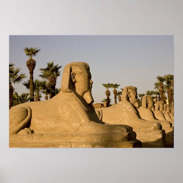 Affiche Egypte, Louxor. L'avenue des Sphinxes mène à (Devant)