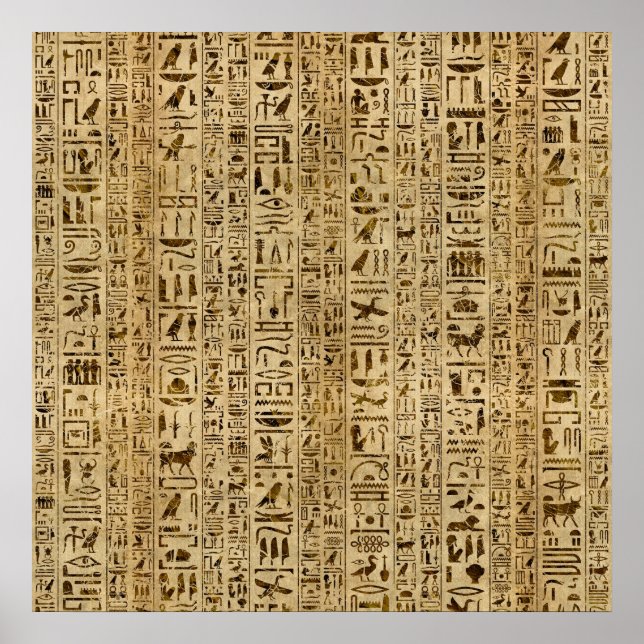Affiche Egyptian hieroglyphs on papyrus (Devant)