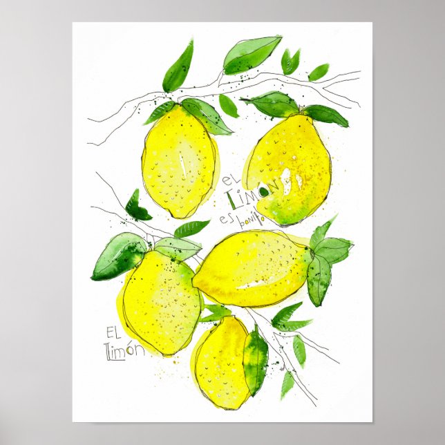 Affiche El Limon (Devant)