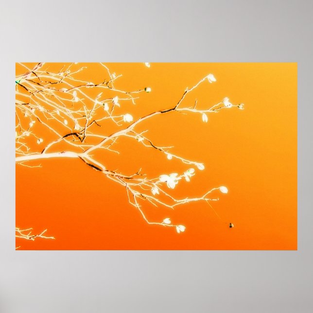 Affiche El Paso (Devant)