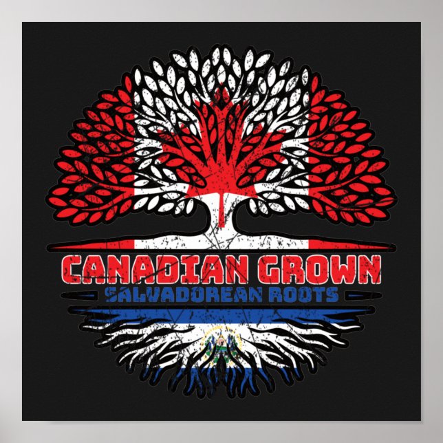 Affiche El Salvador Salvadorean Salvadorian Salvadoran Can (Devant)