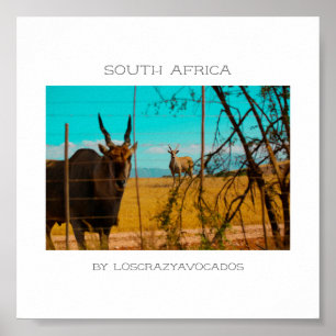 Affiche Eland Antelope Animal Afrique du Sud ZA