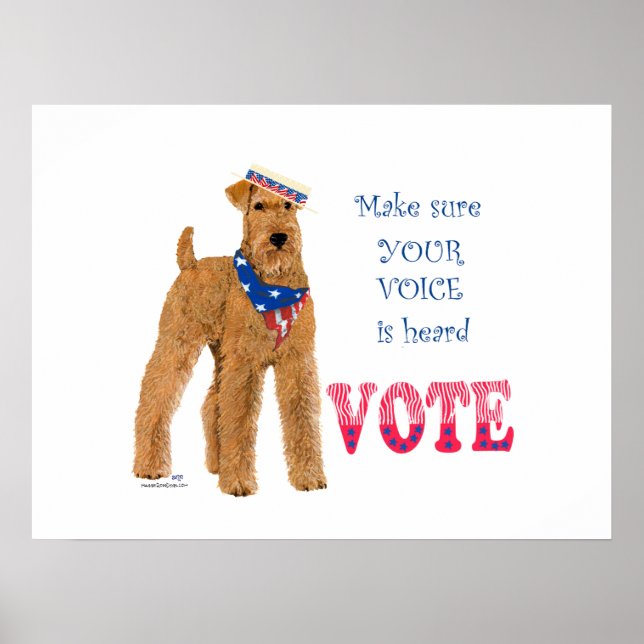 Affiche Élections de Terrier Irlandais (Devant)