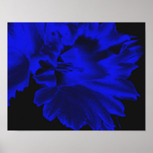 Affiche Electric Blue Abstract Daffodil Flower Art
