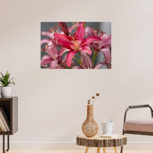 Affiche Élégance floue : Pink Asiatic Lily Flower Photo