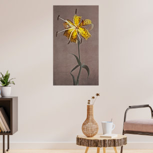 Affiche Élégance intemporelle : Lily japonaise