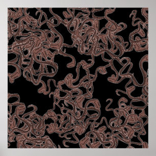 Affiche Élégance venimeuse