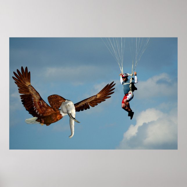 Affiche Elégant aigle éléphant (Devant)