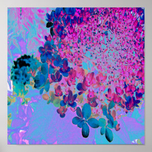 Affiche Élégant bleu foncé et lumière magenta Hydrangea