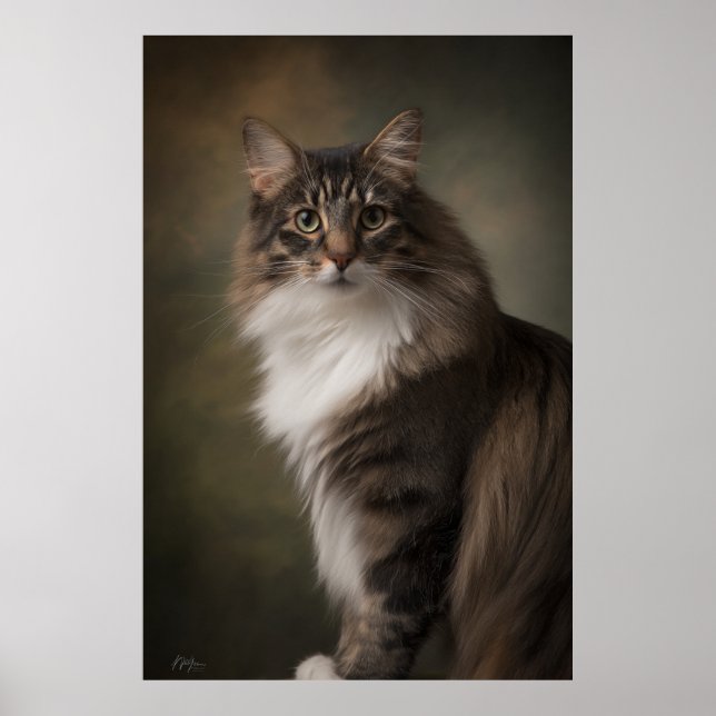 Affiche Elegant Cat Studio Portrait (Devant)