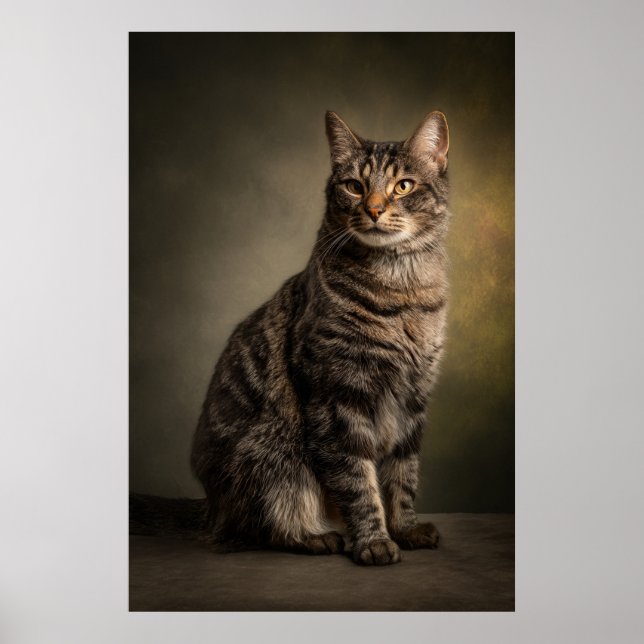 Affiche Elegant Cat Studio Portrait (Devant)