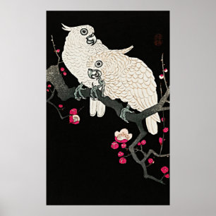 Affiche Elégant Cockatoos & Plum Blossom - Art Japonais