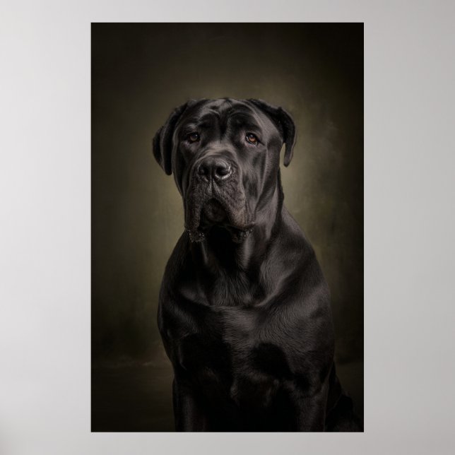 Affiche Elegant Dog Silhouette (Devant)