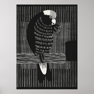 Affiche Elégant Galah Cockatoos - Art rétro