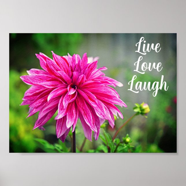 Affiche Elégant Jardin Rose Dahlia Motivation (Devant)
