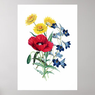 Affiche Élégant moderne Fleurs sauvages Vintages marguerit