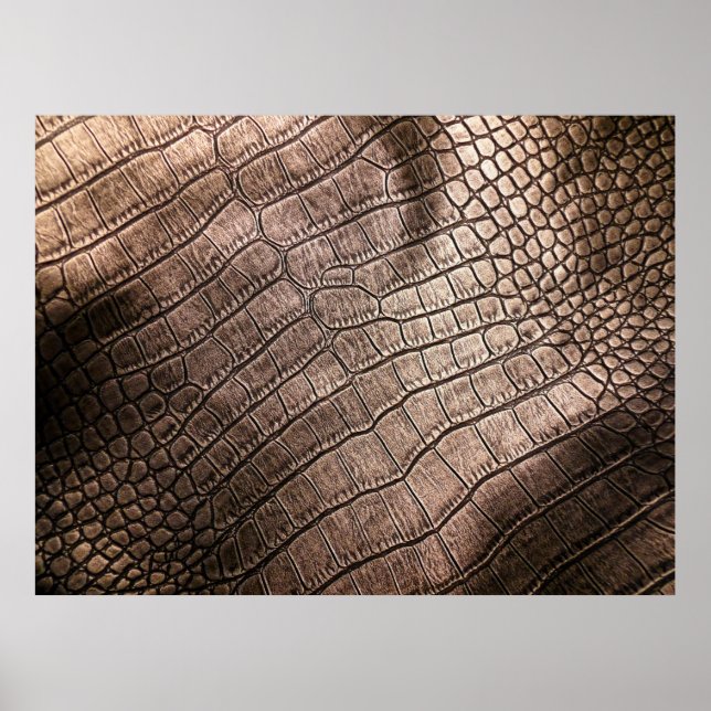 Affiche Elégant motif en cuir gros plan. (Devant)