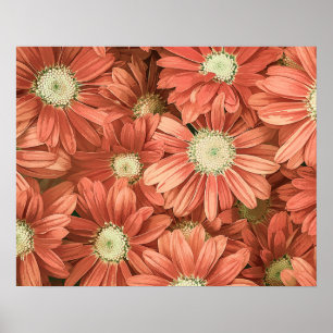 Affiche Élégant oeuvre acrylique des tournesols roses Vint