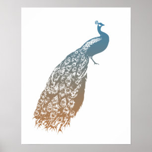 Affiche Elégant Peacock