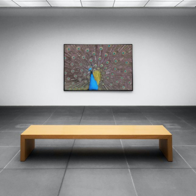 Affiche Elégant Peacock En Bleu Avec Queue Fannée (Créateur téléchargé)