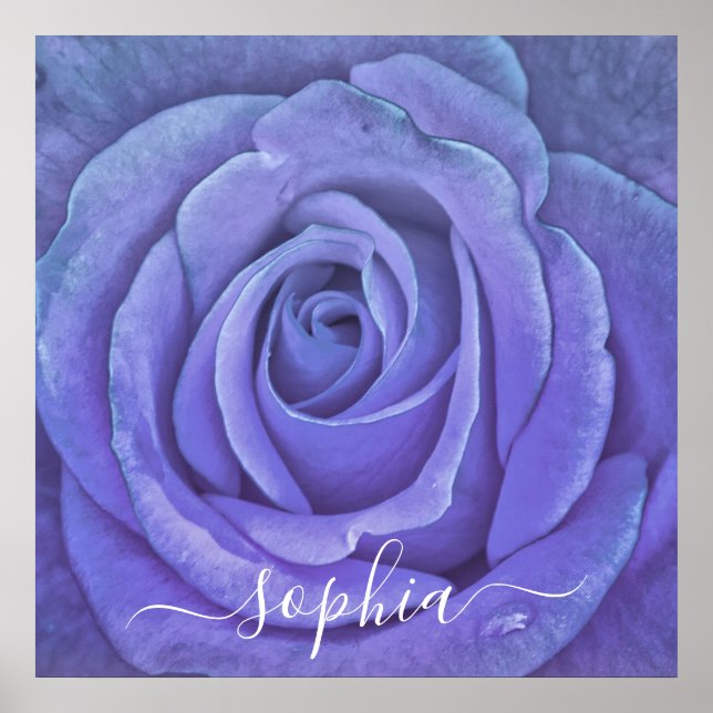 Affiche Élégant Rose Flower Photo Ajouter un nom (Devant)