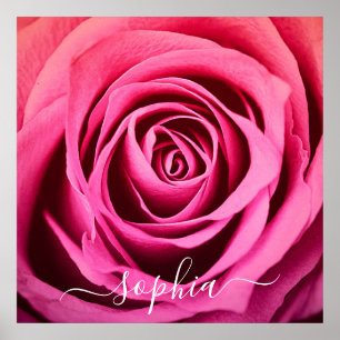 Affiche Elegant Rose Rose Flower Photo Ajouter un nom Post