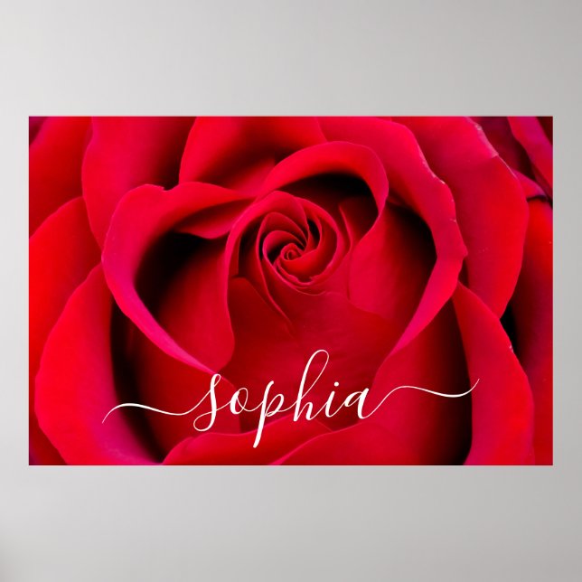 Affiche Elegant Rouge Rose Flower Photo Ajouter un nom (Devant)