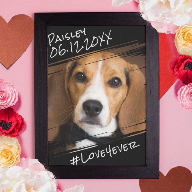 Affiche Élégant Simple Chic Moderne Mémoire de Chien Noir  (Créateur téléchargé)