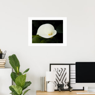 Affiche Élégante Fleur de Callas Blanche Photographique Fl