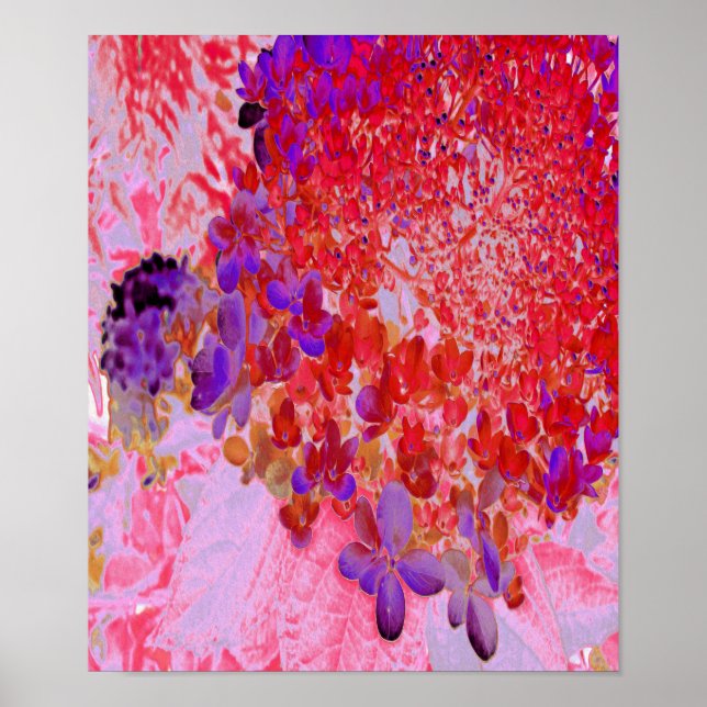 Affiche Élégante Hydrangée violette et orange Limelight (Devant)