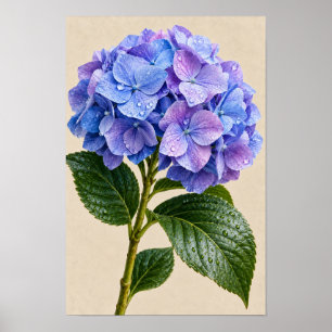 Affiche Élégante œuvre d'art murale florale d'hortensia bl