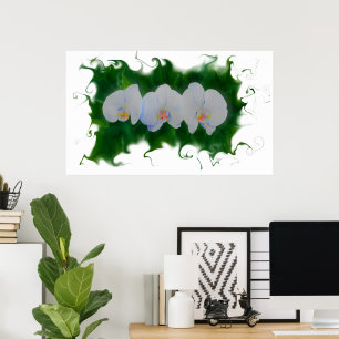 Affiche Elégante peinture d'orchidée blanche à fleurs trop