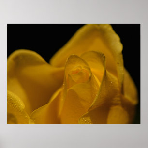 Affiche Élégante Rose jaune simple gros haut