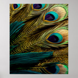 Affiche Elégante Turquoise Abstraite Plumes Peacock Or