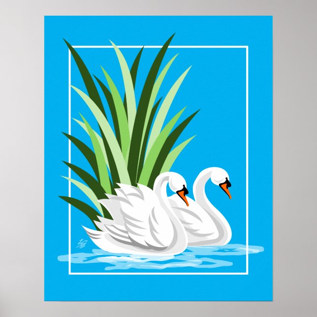 Affiche Elégants Cygnes Blancs Sur Eau Bleue (Devant)