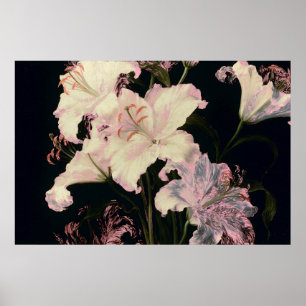 Affiche Élégants lys blancs sur fond noir floral
