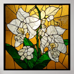 Affiche Élégants orchidées blanches en verre teinté