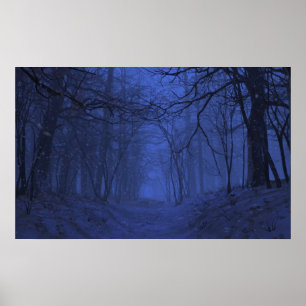 Affiche Élégie (hiver/nuit)