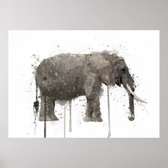 Affiche Elephant  (Devant)