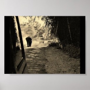 Affiche Eléphant à flâner