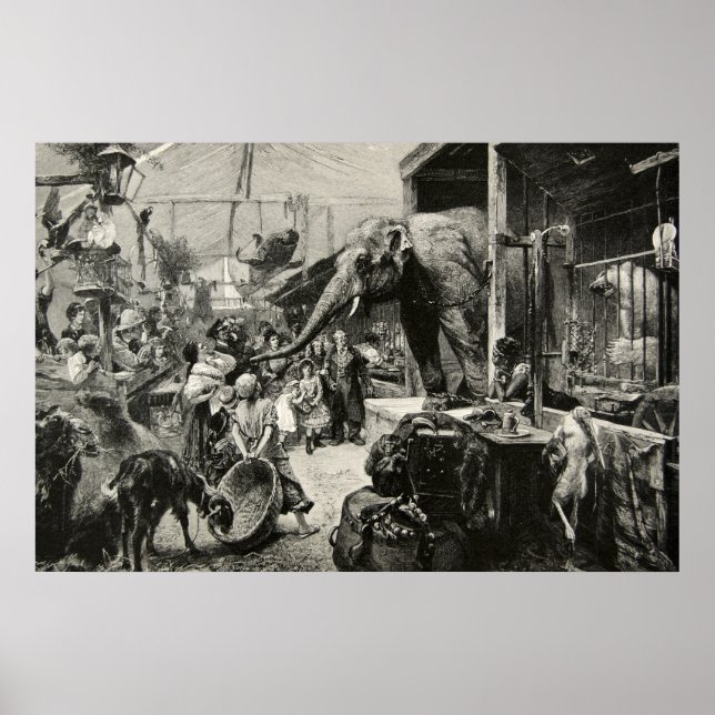 Affiche Eléphant animal vintage Zoo Engraving Children (Devant)