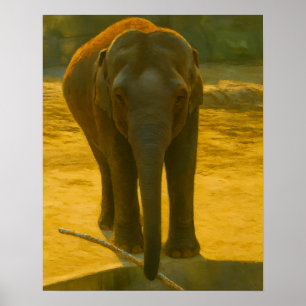 Affiche Eléphant avec branche à l’extrémité de l’eau