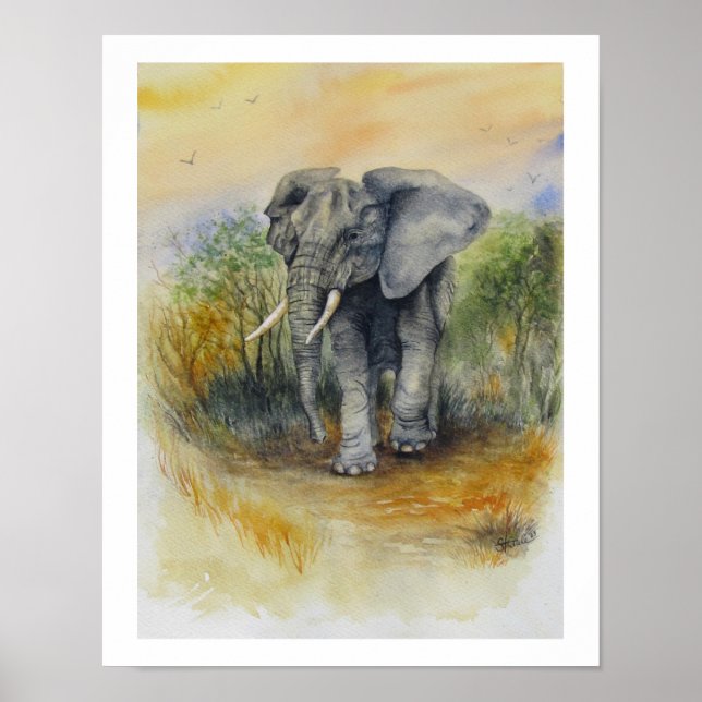 Affiche Éléphant d'Afrique (Devant)
