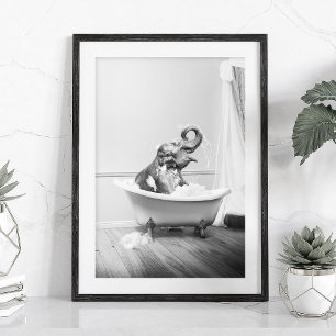 Affiche éléphant dans une baignoire