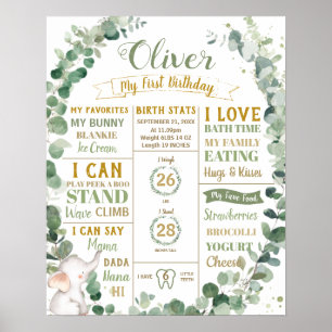Affiche Éléphant de verdure Statistiques de naissance étap
