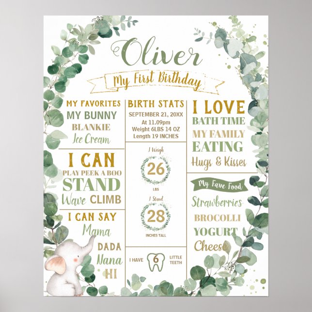 Affiche Éléphant de verdure Statistiques de naissance Jalo (Devant)