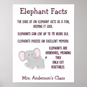 Affiche Eléphant - Faits