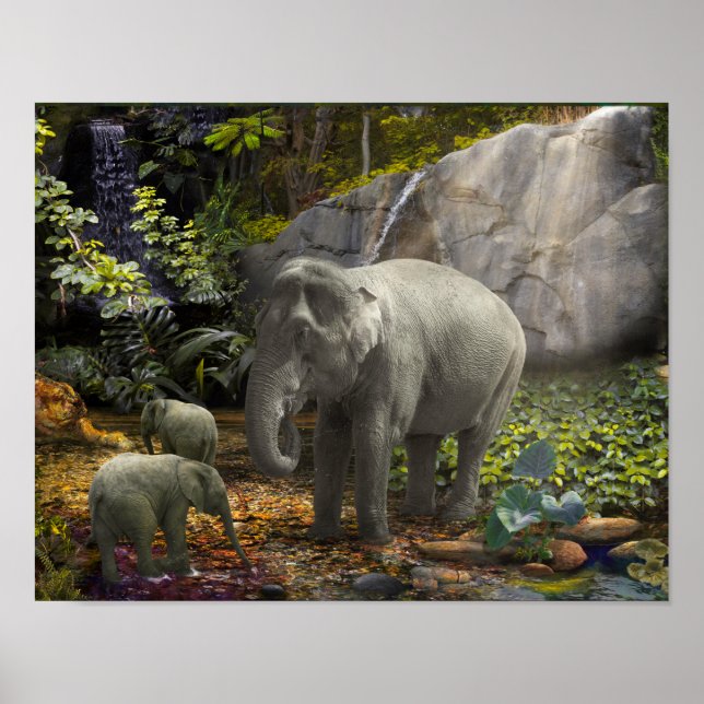 Affiche Elephant Family RAIN FOREST PARTI (Devant)